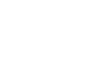 Vordent de México